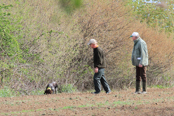 Fanny vom Auenwald bei der Suche